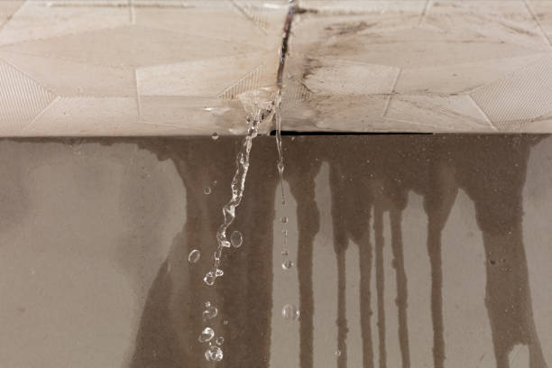 Professional Sewage Cleanup technician working in Red House, WV